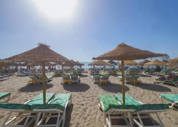 Cubo's Side Trinidad *