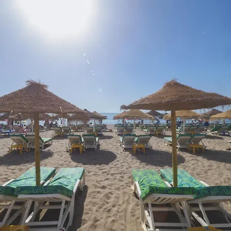 Cubo's Side Trinidad *